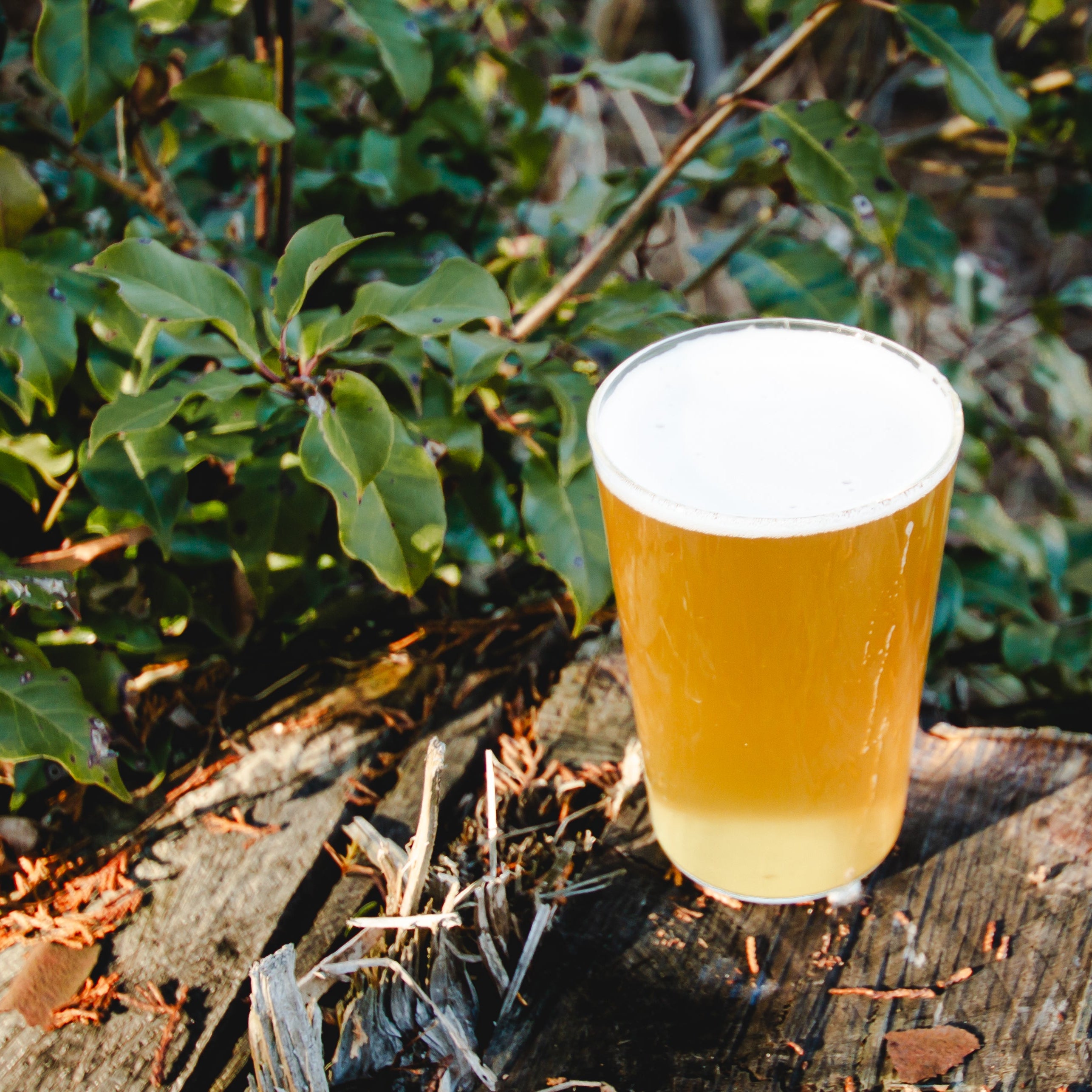 HOKAZE-帆風- – KYOTO NUDE BREWERY