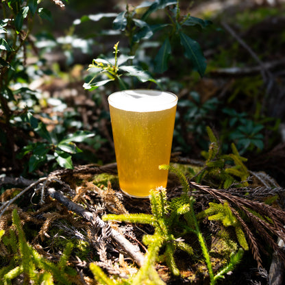 KOMOREZORA-木洩れ空-